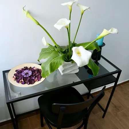 Szálloda Andolfi 24 *